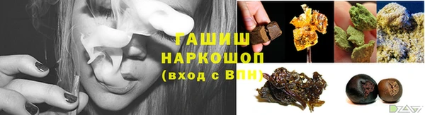 сатива Карпинск