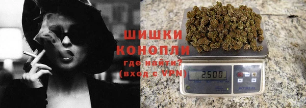 сатива Карпинск